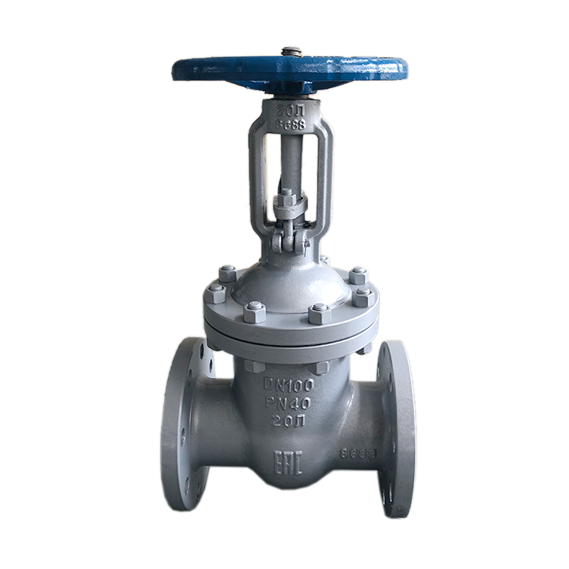 gate valve PN40 DN100 WCB