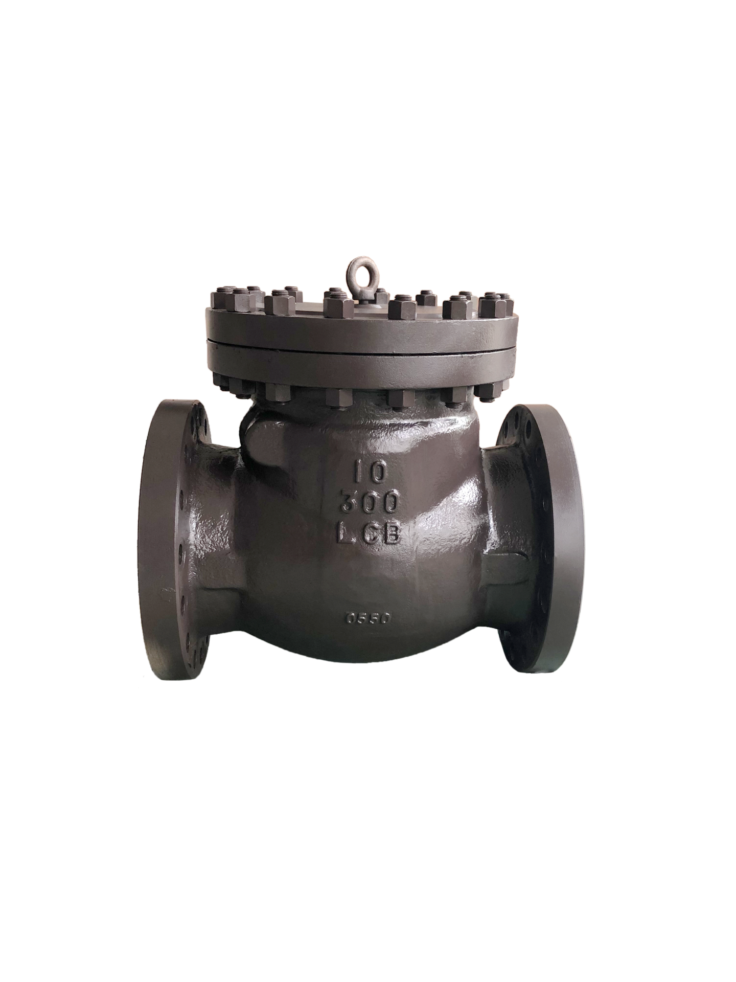 Check Valve 300-10-LCB