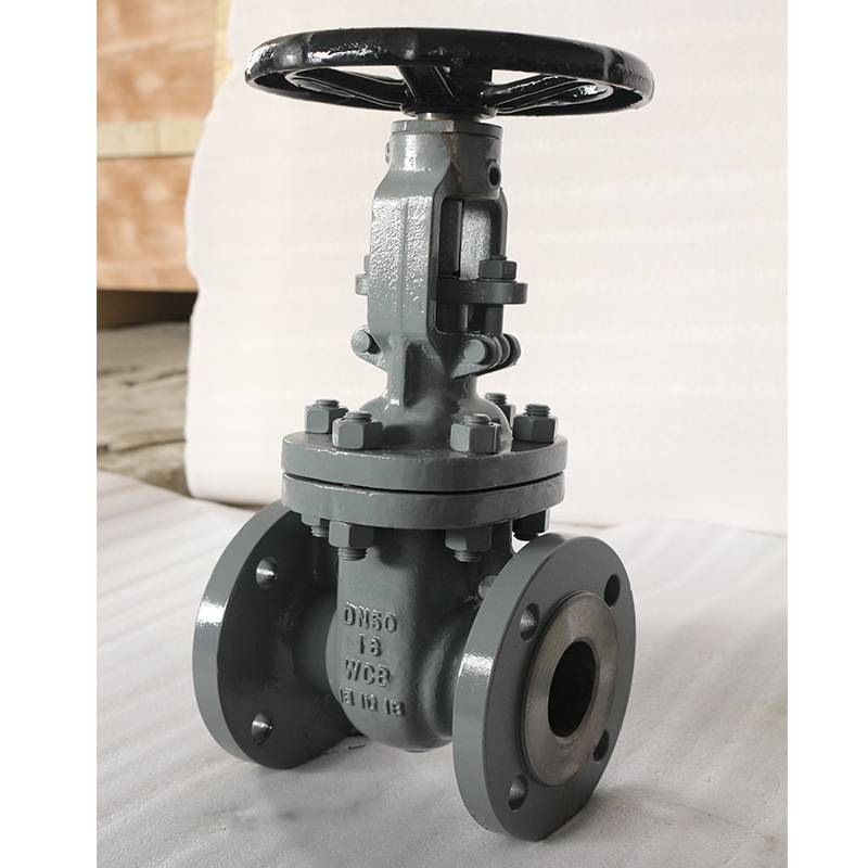 F4 DIN Gate valve PN16 DN50 WCB