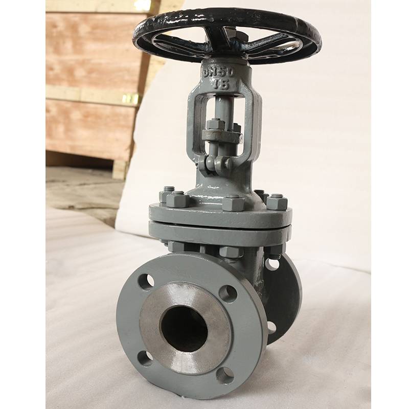 F4 DIN Gate valve PN16 DN50 WCB