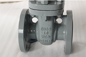 F4 DIN Gate valve PN16 DN50 WCB