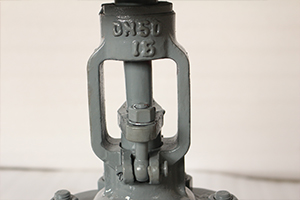 F4 DIN Gate valve PN16 DN50 WCB