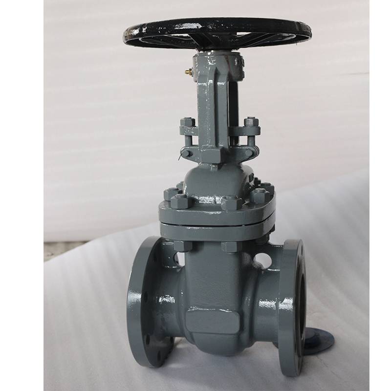 F4 DIN Gate valve PN16 DN50 WCB