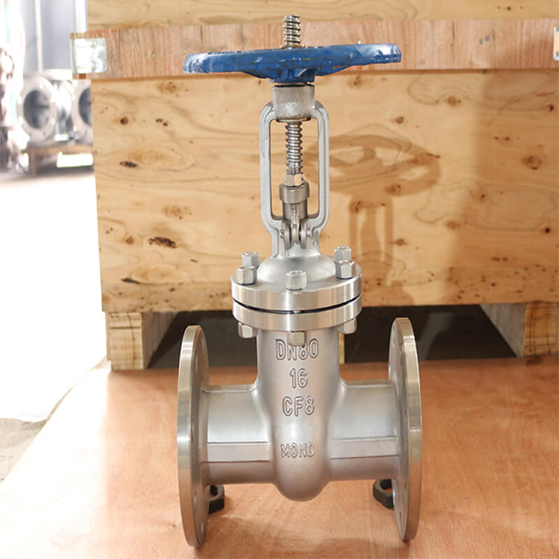 EN1096 Stainless steel CF8 Gate Valves