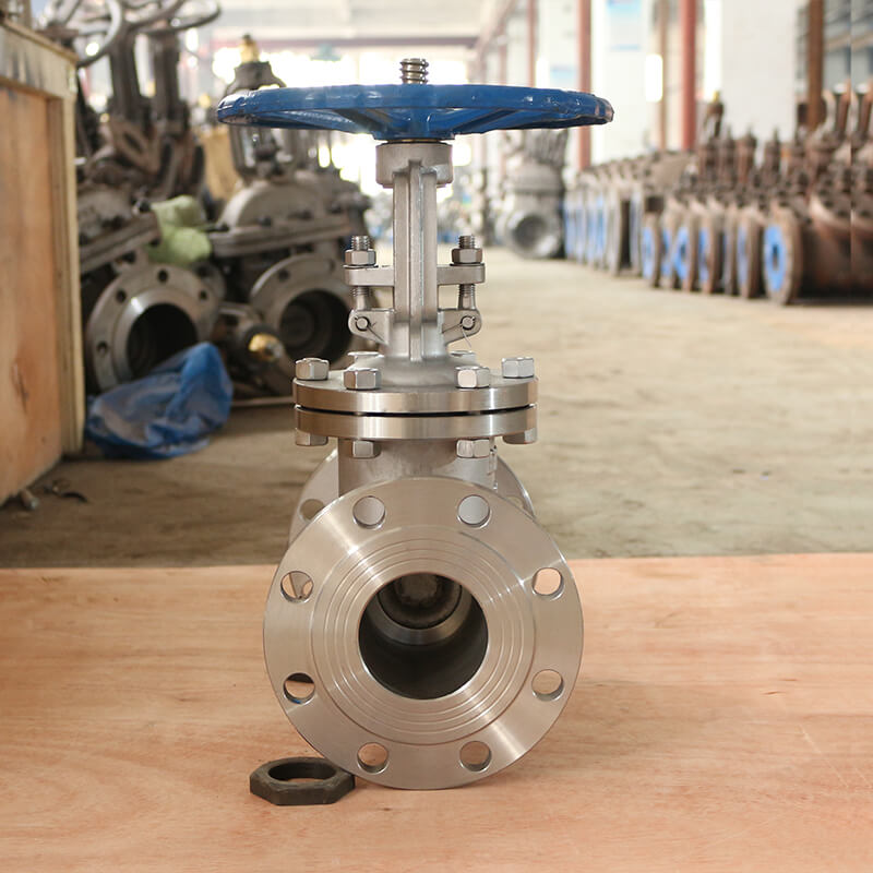 EN1096 Stainless steel CF8 Gate Valves