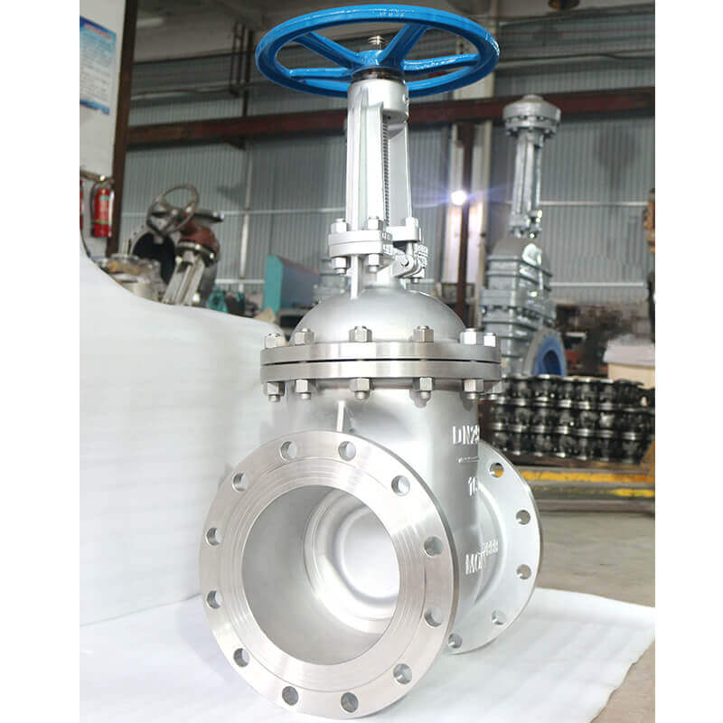 DIN Stainless steel CF8 Gate Valve DN250