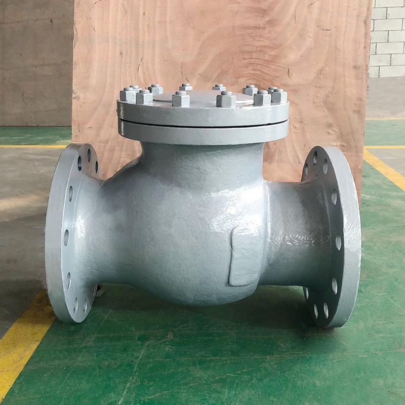 DIN Check Valve PN40 DN200