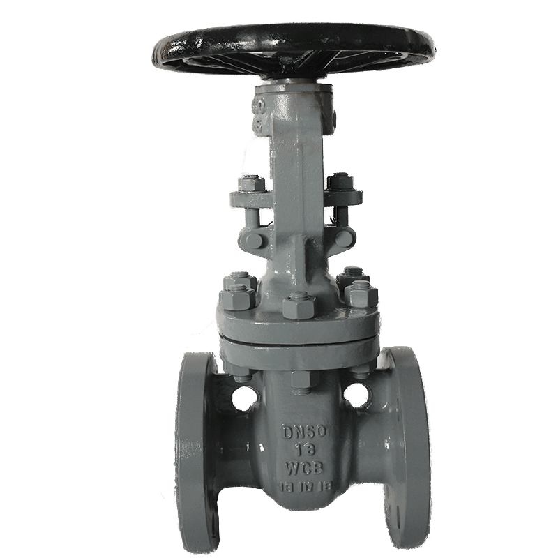 F4 DIN Gate valve PN16 DN50 WCB