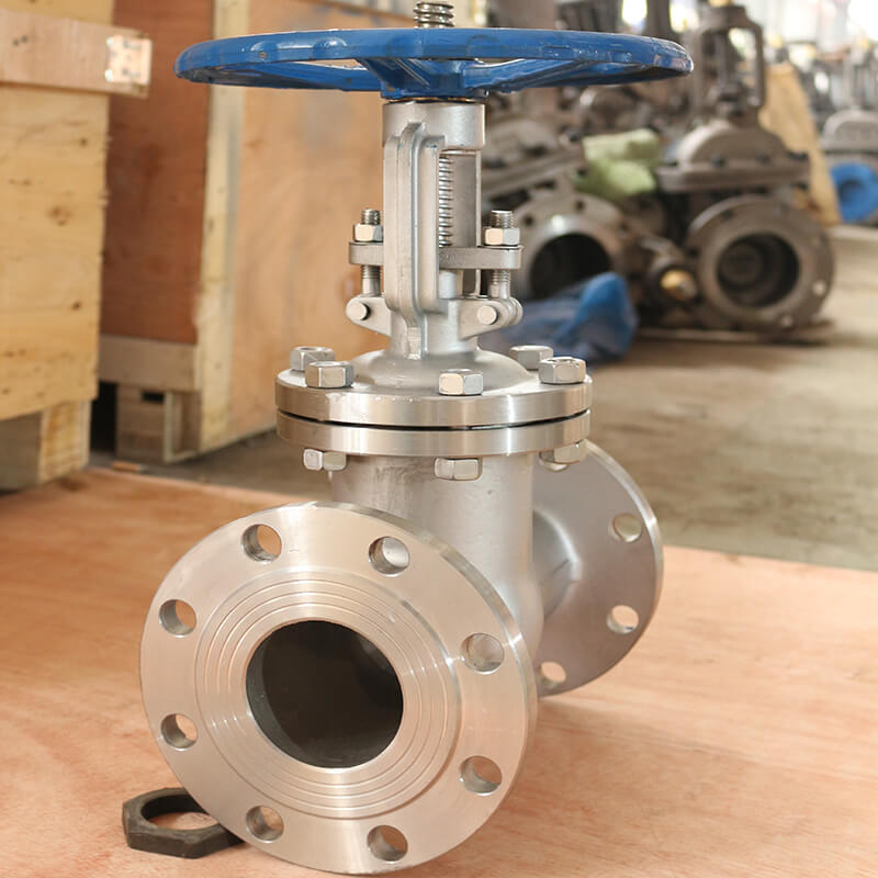 EN1096 Stainless steel CF8 Gate Valves