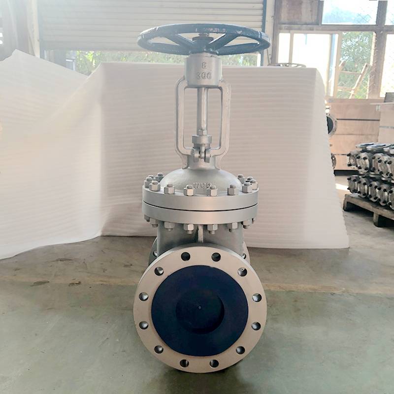 Casting steel A216 WCB Gate Valve Class300