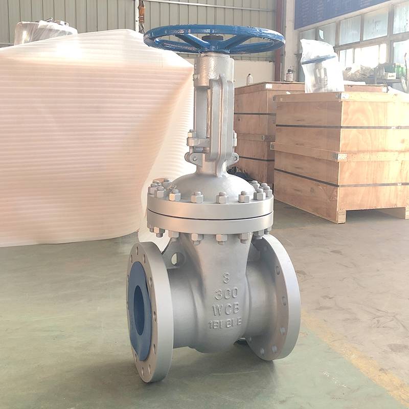 Casting steel A216 WCB Gate Valve Class300