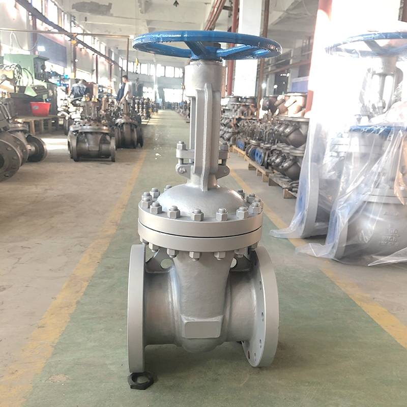 Casting steel A216 WCB Gate Valve Class300