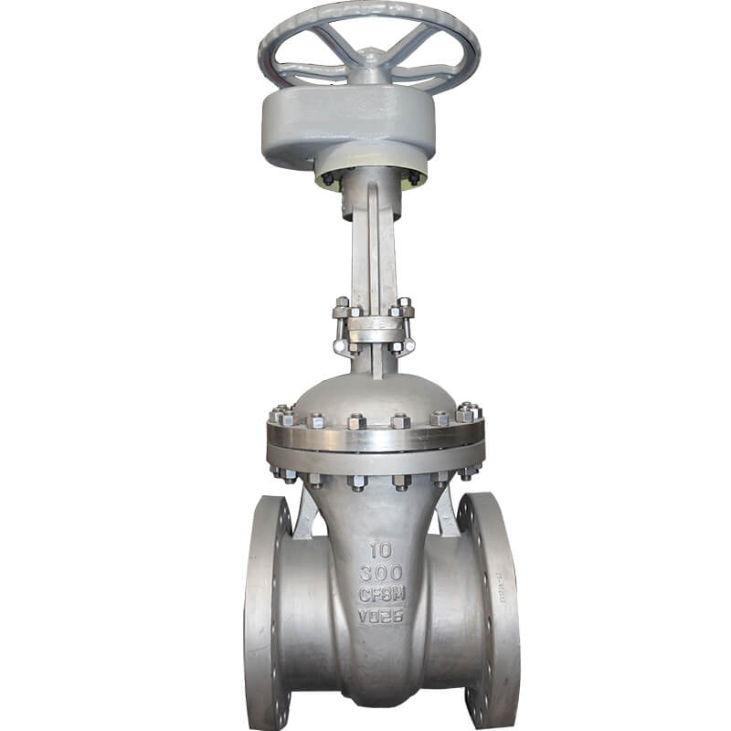 Stainless steel CF8M Gate Valves