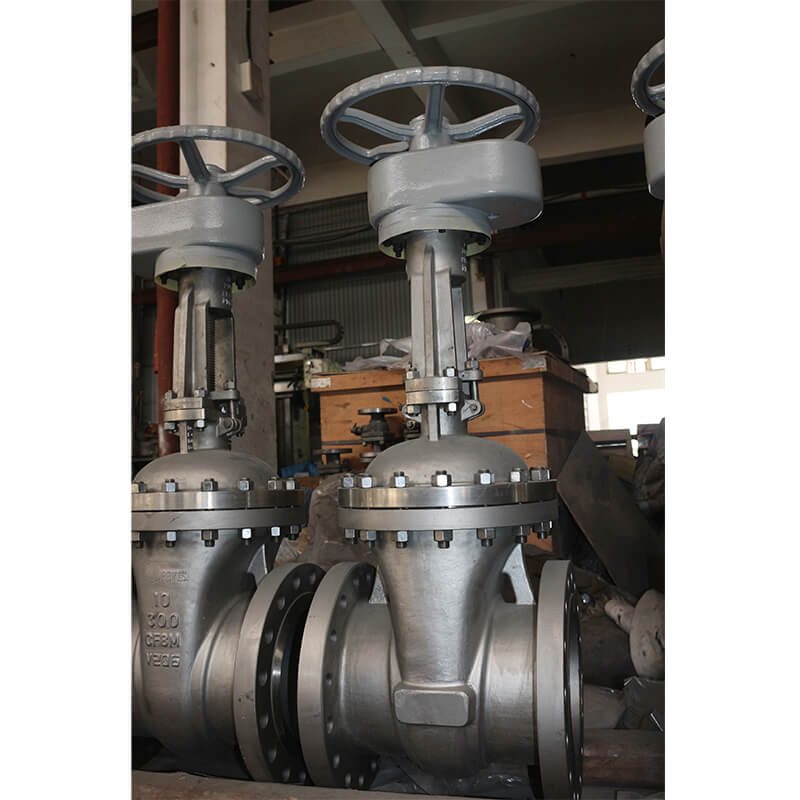 Stainless steel CF8M Gate Valves