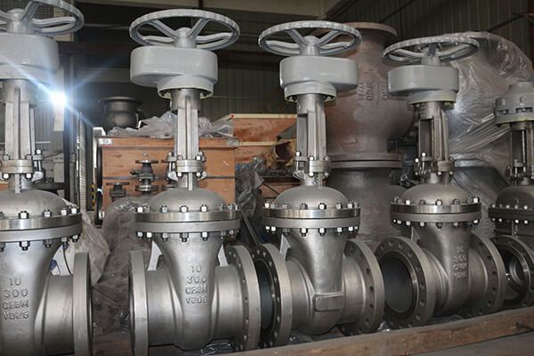 Stainless steel CF8M Gate Valves