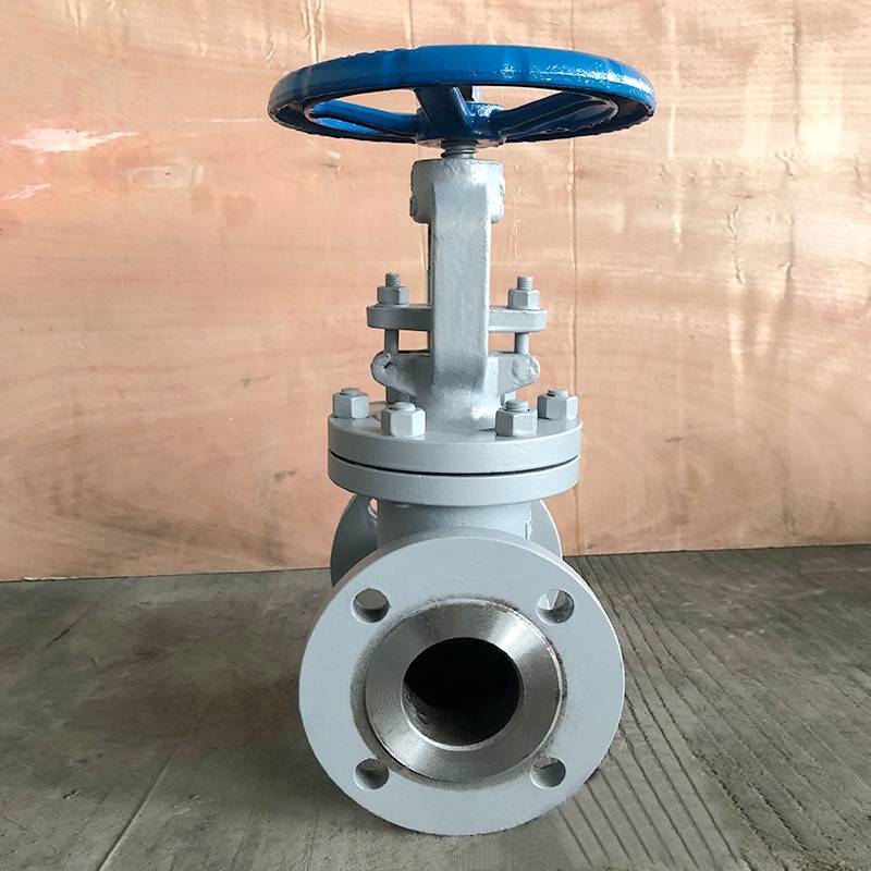 WCB Globe Valve 150lb 21/2inch