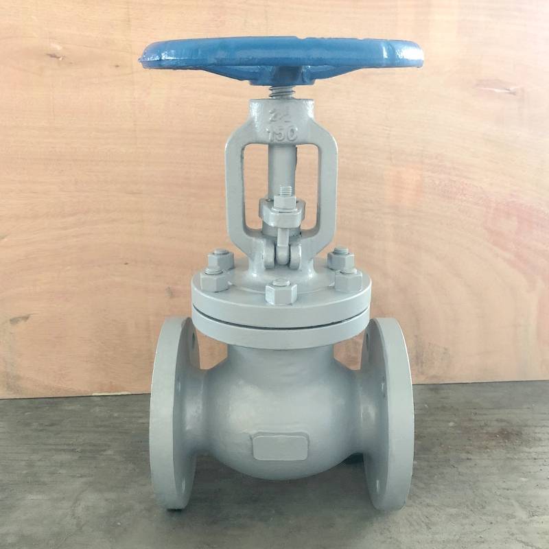 WCB Globe Valve 150lb 21/2inch