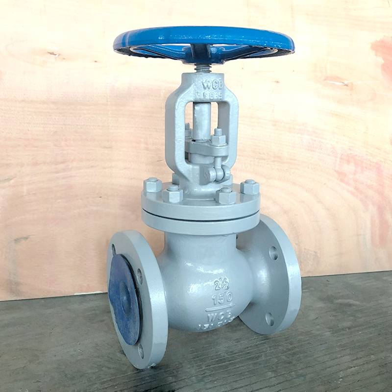 WCB Globe Valve 150lb 21/2inch