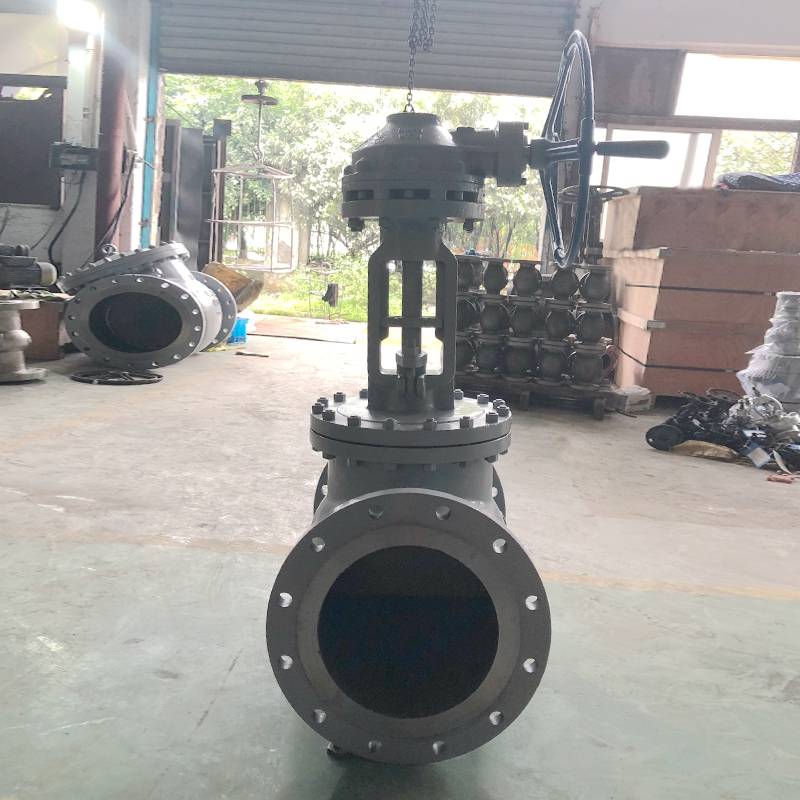 WCB Globe Valve 150lb 12inch