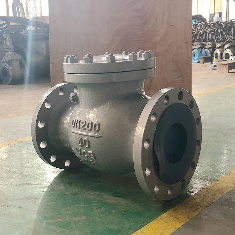 DIN Check Valve PN40 DN200