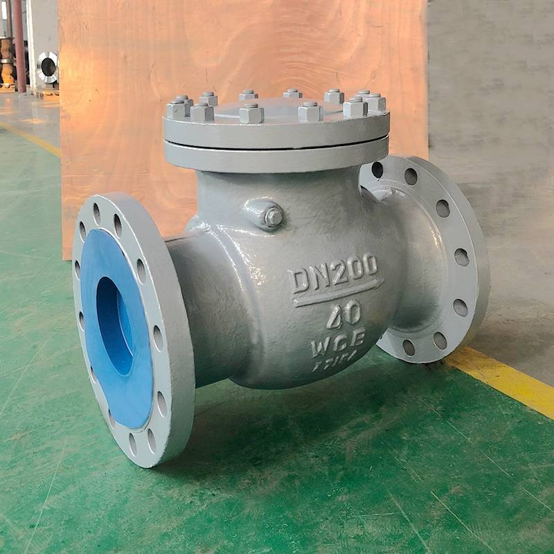 DIN Check Valve PN40 DN200