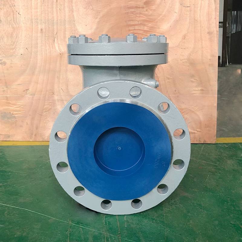 DIN Check Valve PN40 DN200