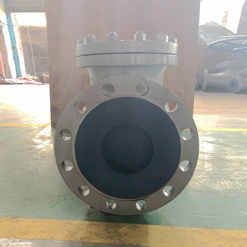 DIN Check Valve PN40 DN200