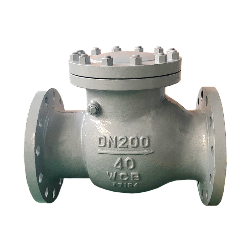 DIN Check Valve PN40 DN200