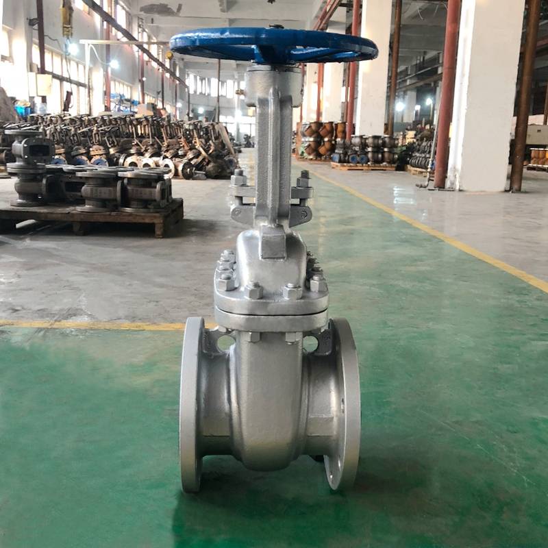 （1）Introduction of Gate valves