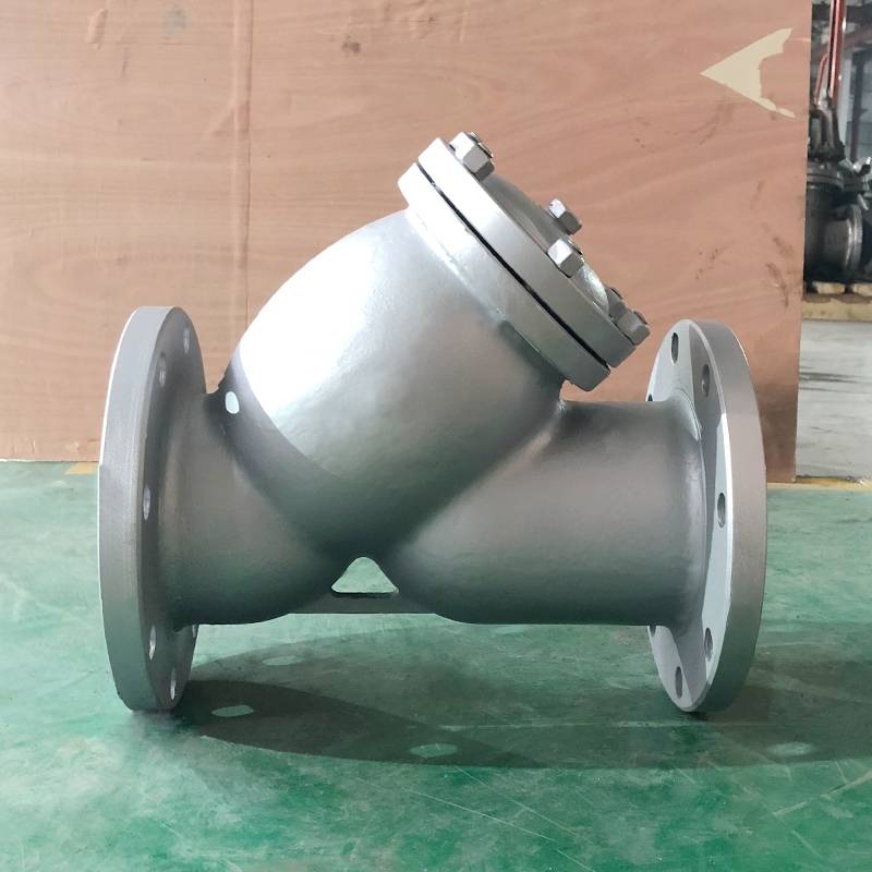 API Strainers 150LB 6in
