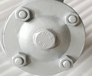 API Strainer CL150 2 IN WCB 