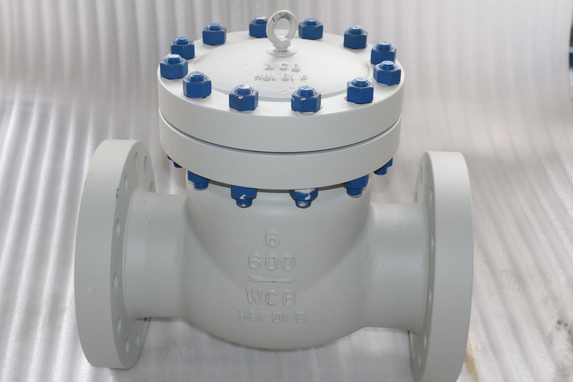 API Check Valve: WCB Material, Class 600, 6In Flanged with Anti-Corrosion Bolts 