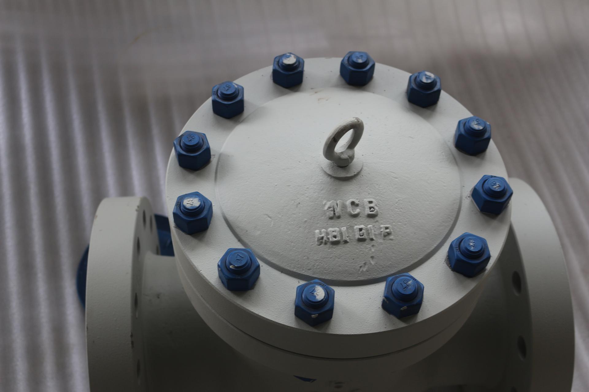 API Check Valve: WCB Material, Class 600, 6In Flanged with Anti-Corrosion Bolts 