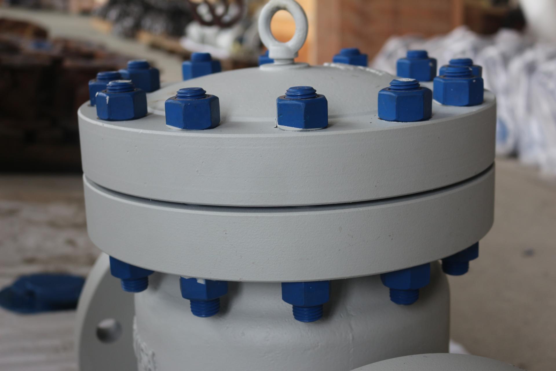 API Check Valve: WCB Material, Class 600, 6In Flanged with Anti-Corrosion Bolts 