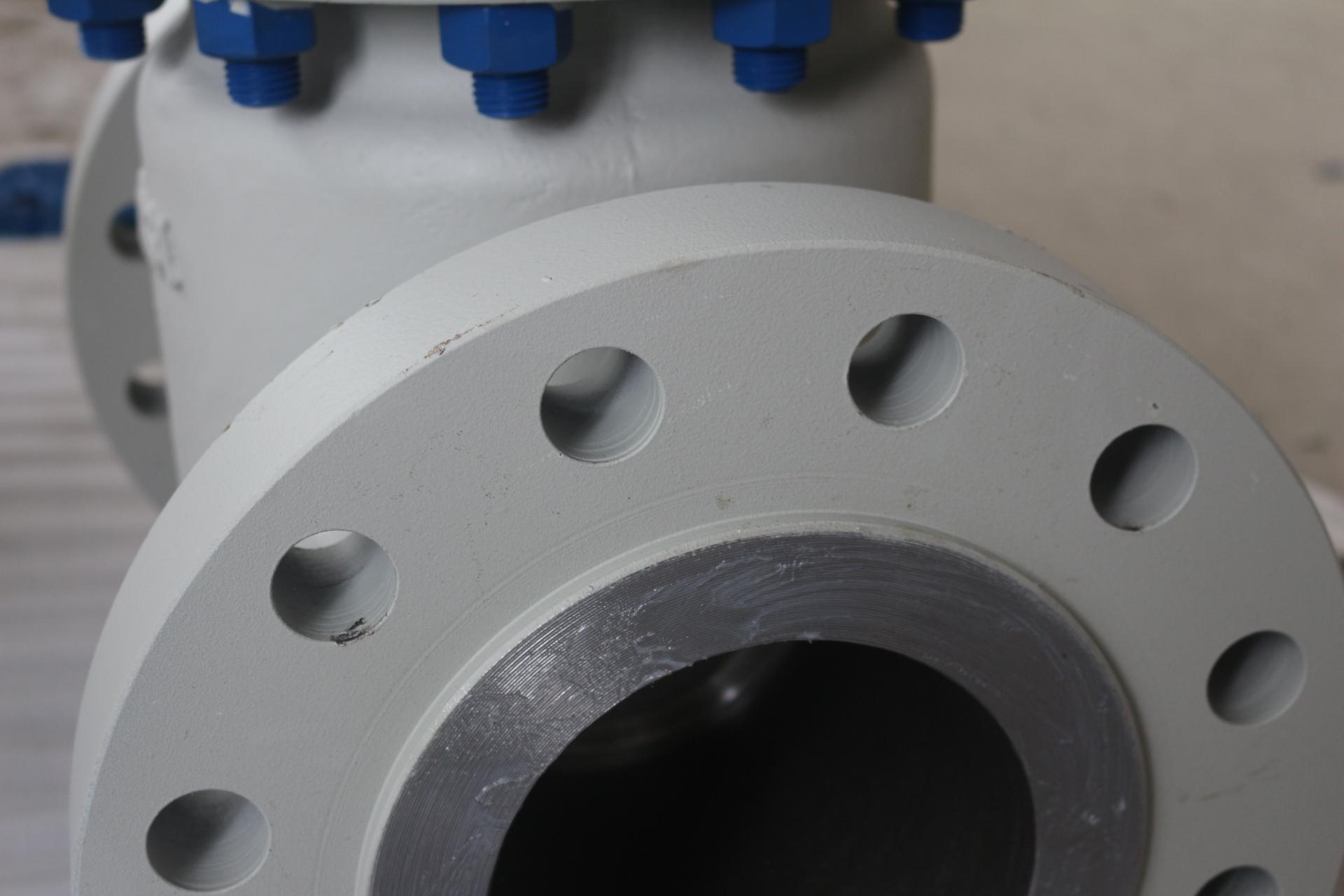 API Check Valve: WCB Material, Class 600, 6In Flanged with Anti-Corrosion Bolts 