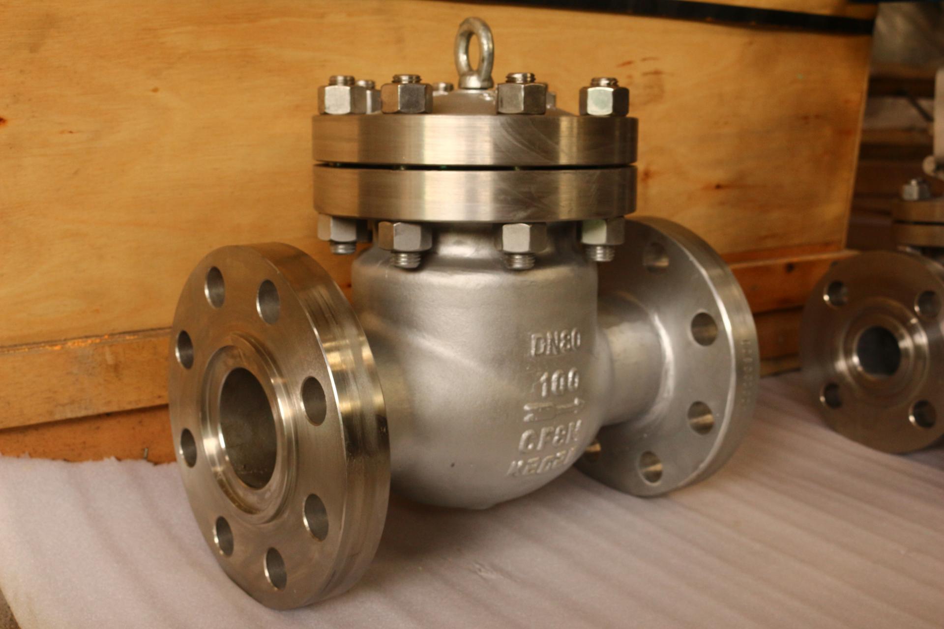 DIN Stainless Steel 316 Check Valve PN100 DN80  RF 