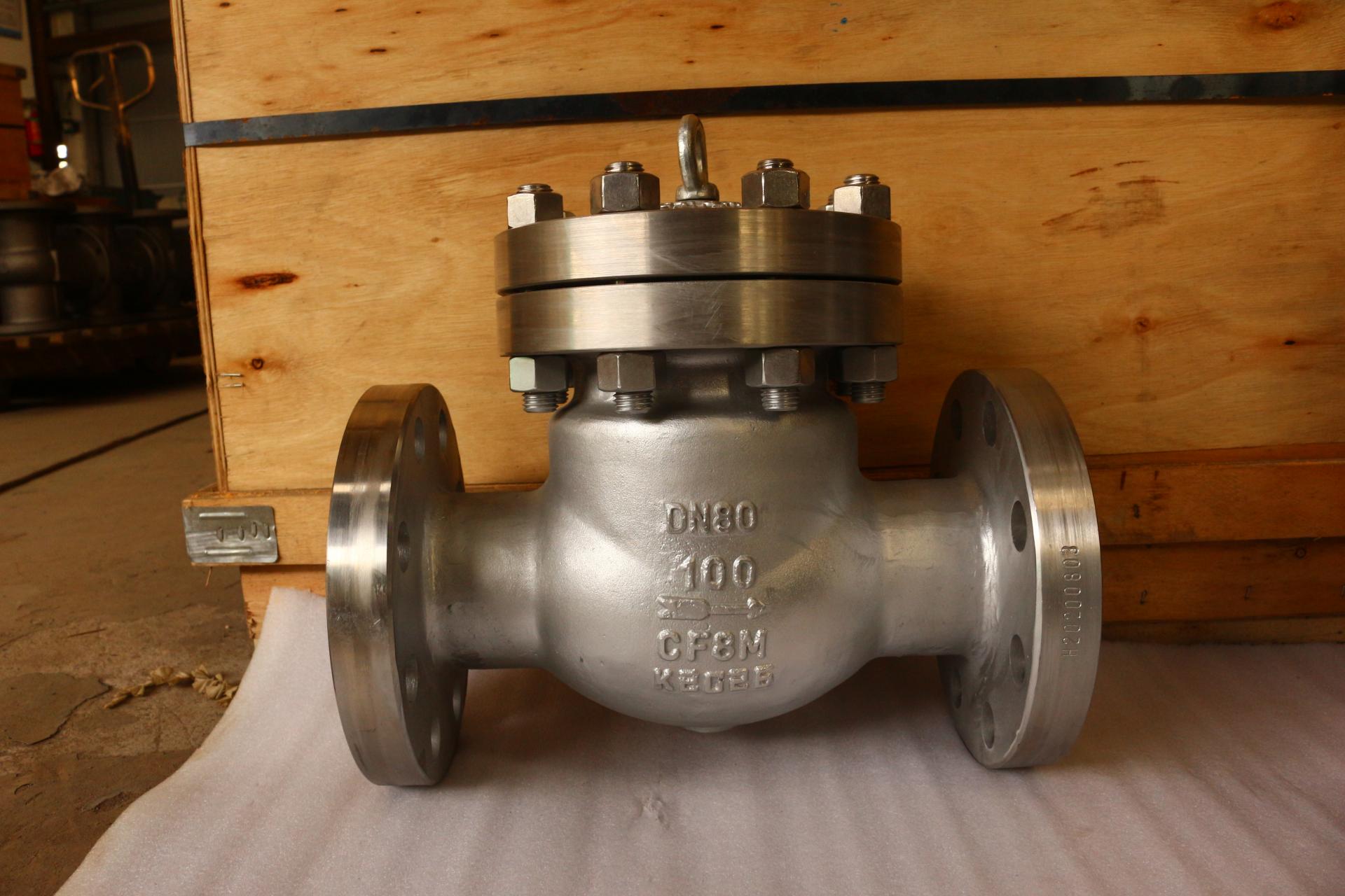 DIN Stainless Steel 316 Check Valve PN100 DN80  RF 