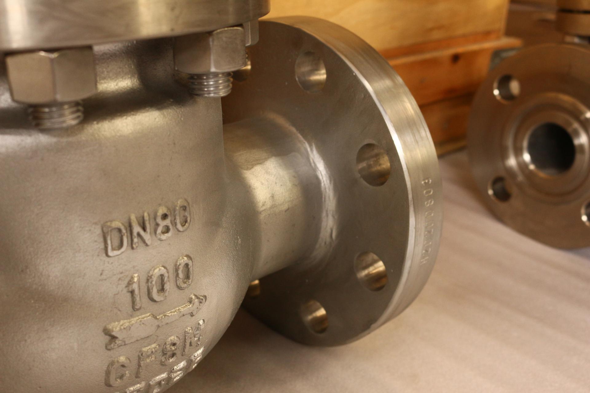DIN Stainless Steel 316 Check Valve PN100 DN80  RF 