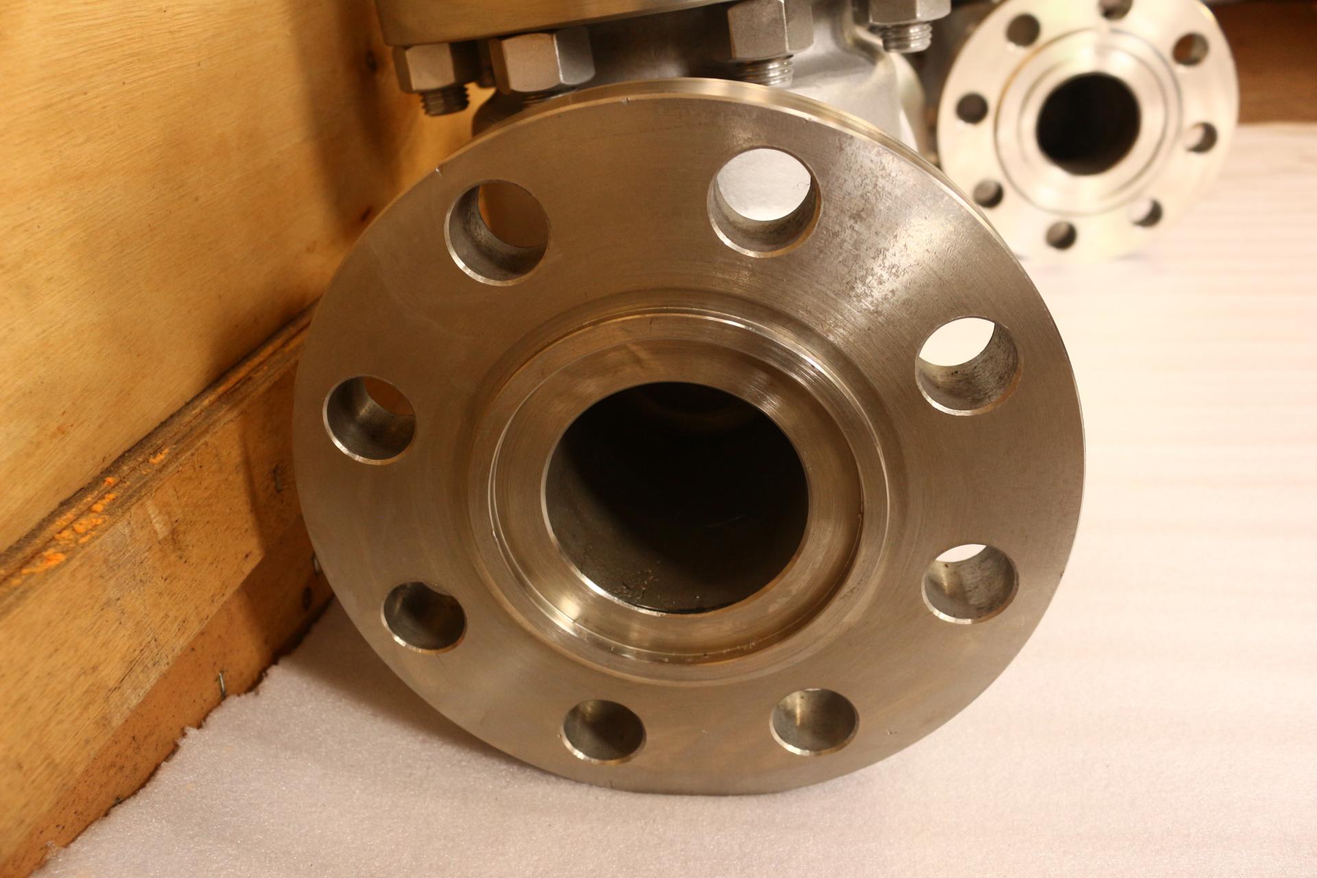 DIN Stainless Steel 316 Check Valve PN100 DN80  RF 