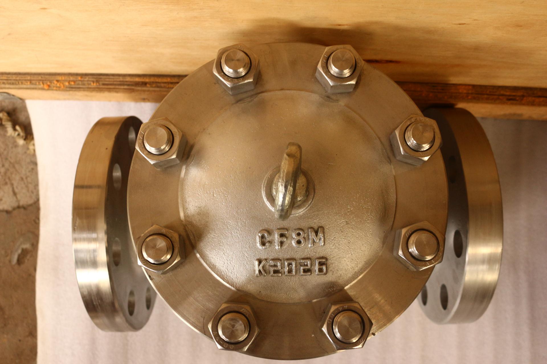 DIN Stainless Steel 316 Check Valve PN100 DN80  RF 