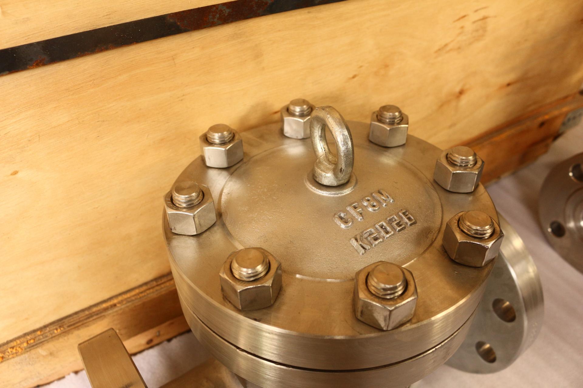 DIN Stainless Steel 316 Check Valve PN100 DN80  RF 